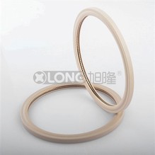 ซีลเสริมพลังสปริงใยแก้ว PTFE +15%