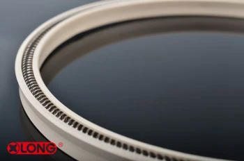 สปริง PTFE ซีลเครื่องกลพลัง