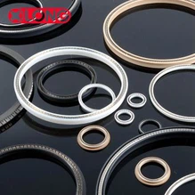 PTFE พร้อมซีลคาร์บอนสปริงไฟเบอร์คาร์บอนไฟเบอร์