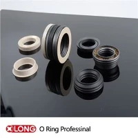 ซีลวาล์วเติมพลังงานสปริง PTFE คาร์บอน