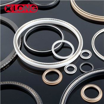 PTFE Spring Energized Lip Seal ที่กำหนดเอง