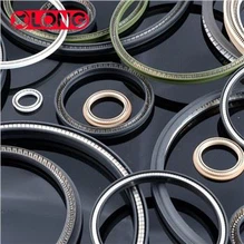 แรงเสียดทานต่ำ PTFE Spring Energized Pump Rod Seals
