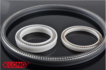 PTFE สปริงบอลวาล์วพลังงานซีลรัศมี