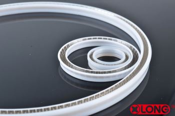 PTFE Spring Energized Double Lip Seal